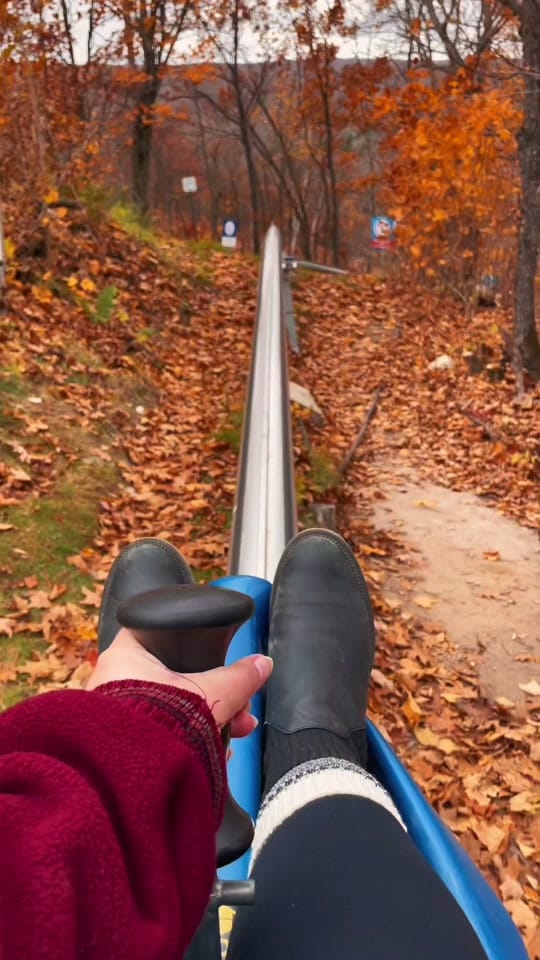 Post 10 by Elser | Ottawa & Lifestyle on TikTok (video)