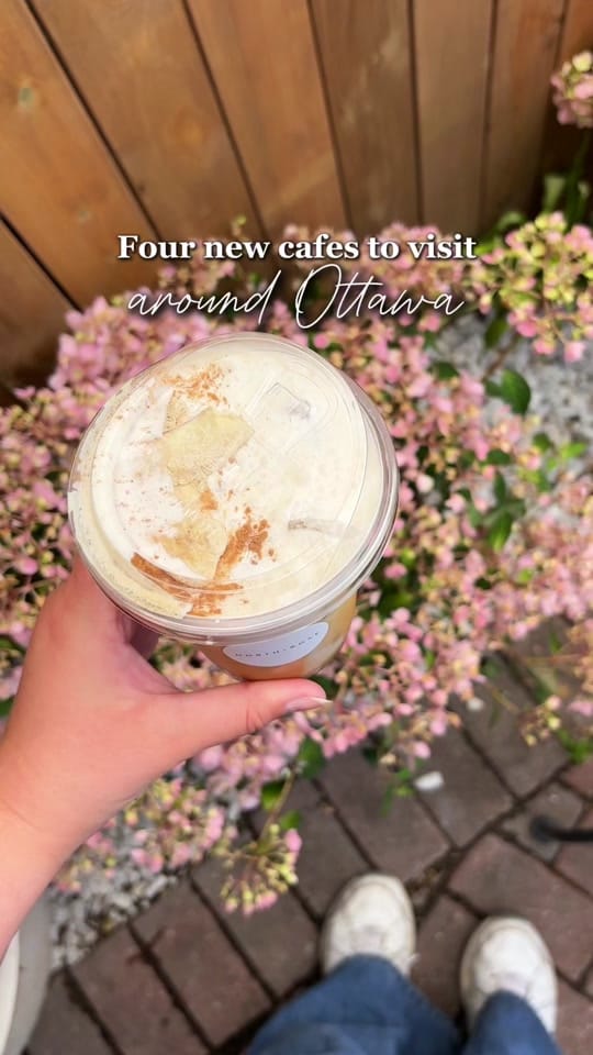Post 5 by Elser | Ottawa & Lifestyle on TikTok (video)