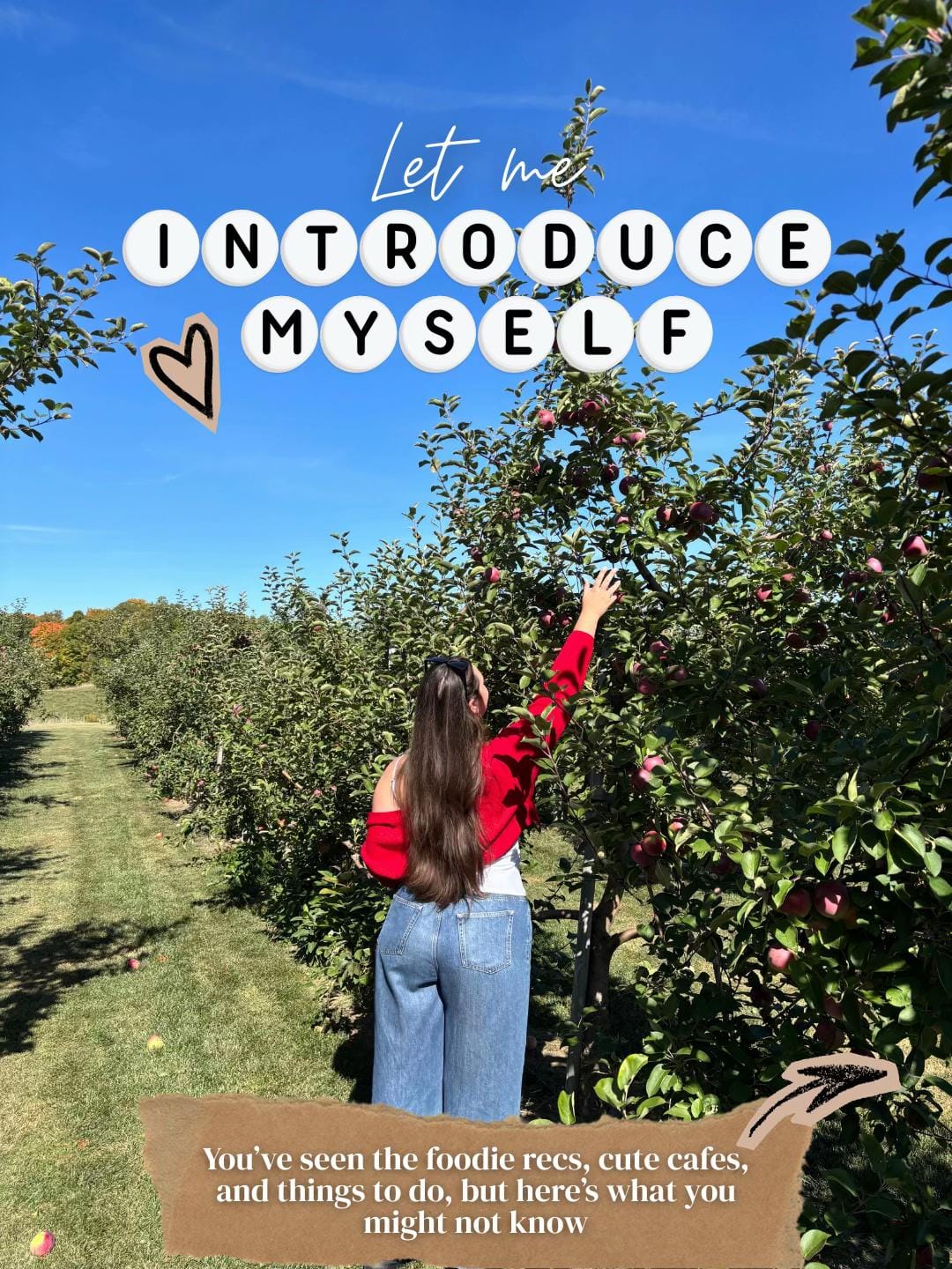 Post 8 by Elser | Ottawa & Lifestyle on TikTok (video)