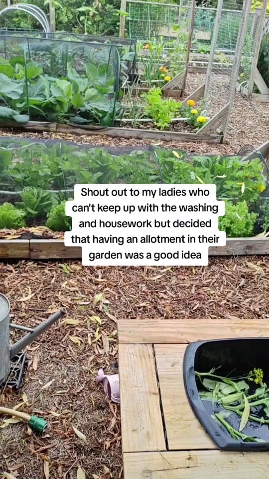 Post 4 by Liz Make it | Grow it on TikTok (video)