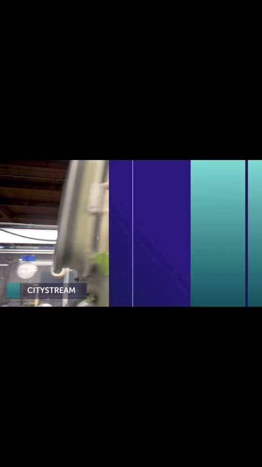 Post 8 by Earthwise salvage on TikTok (video)