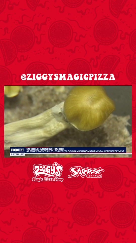 Post 1 by ZiggysMagicPizza on TikTok (video)