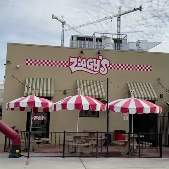 Post 6 by ZiggysMagicPizza on TikTok (video)