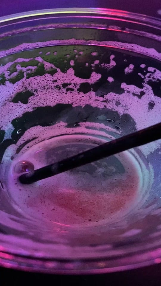 Post 8 by ZiggysMagicPizza on TikTok (video)