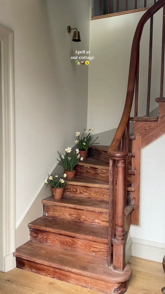 Post 5 by Hollie Berries 🪿 on TikTok (video)