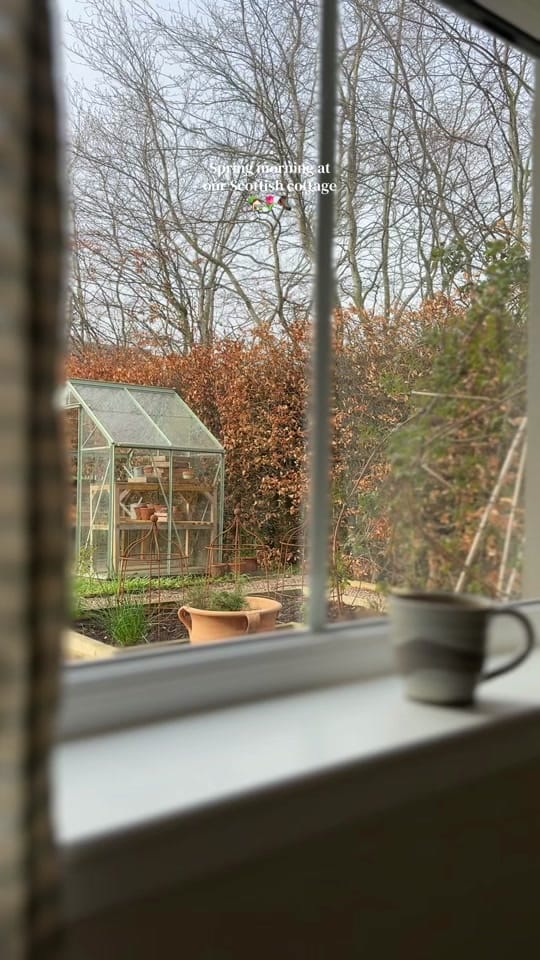 Post 6 by Hollie Berries 🪿 on TikTok (video)