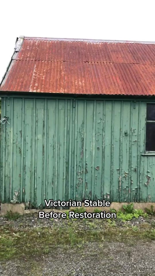 Post 10 by Hollie Berries 🪿 on TikTok (video)