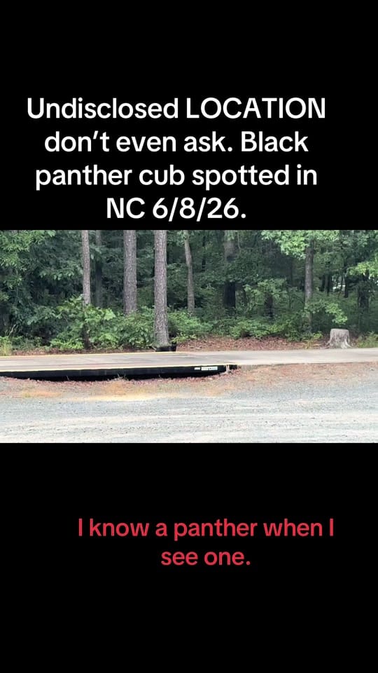 Post 1 by Danny Spann on TikTok (video)