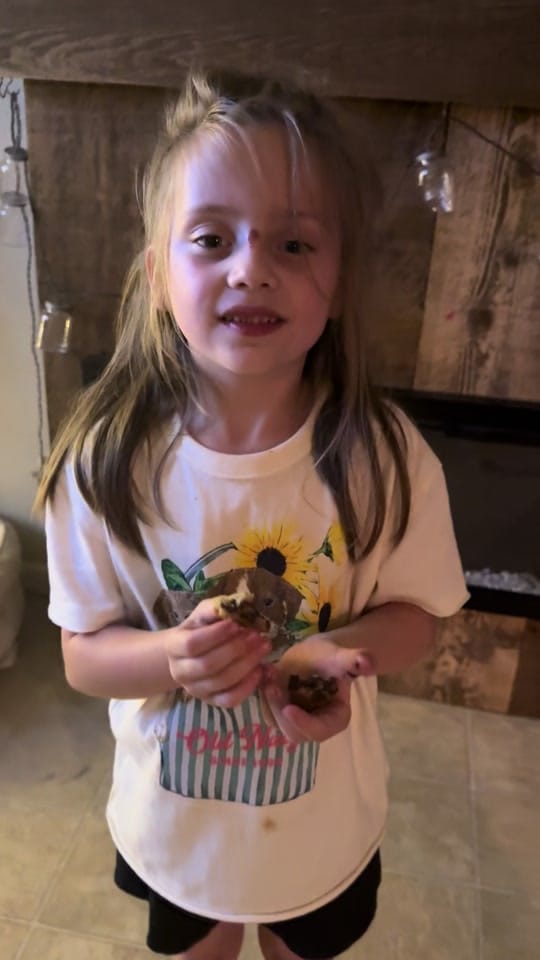Post 5 by Danny Spann on TikTok (video)