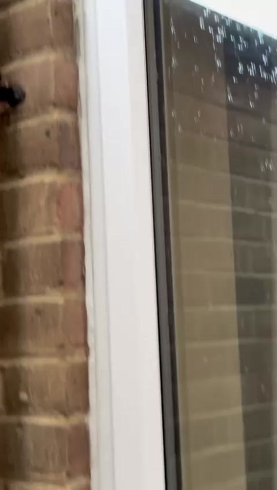 Post 10 by Porters-Pest-Control-Ltd on TikTok (video)