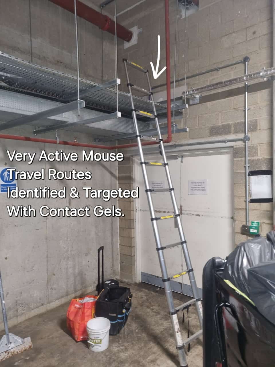 Post 6 by Porters-Pest-Control-Ltd on TikTok (video)