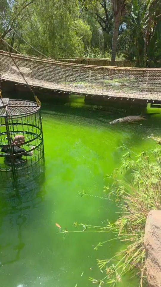 Post 3 by Porters-Pest-Control-Ltd on TikTok (video)