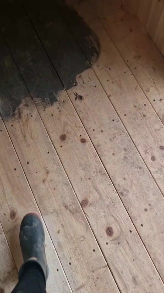 Post 5 by harpers and co on TikTok (video)