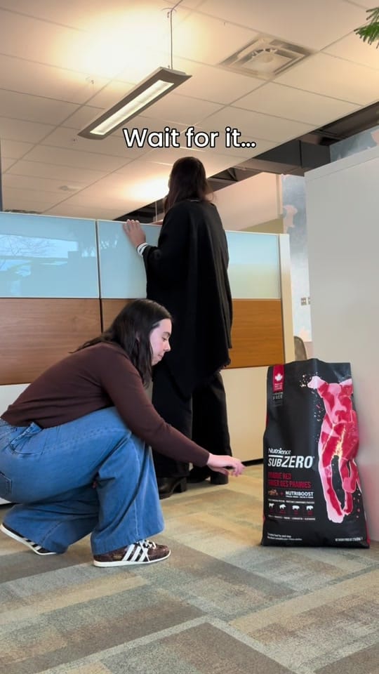 Post 9 by Nutrience on TikTok (video)