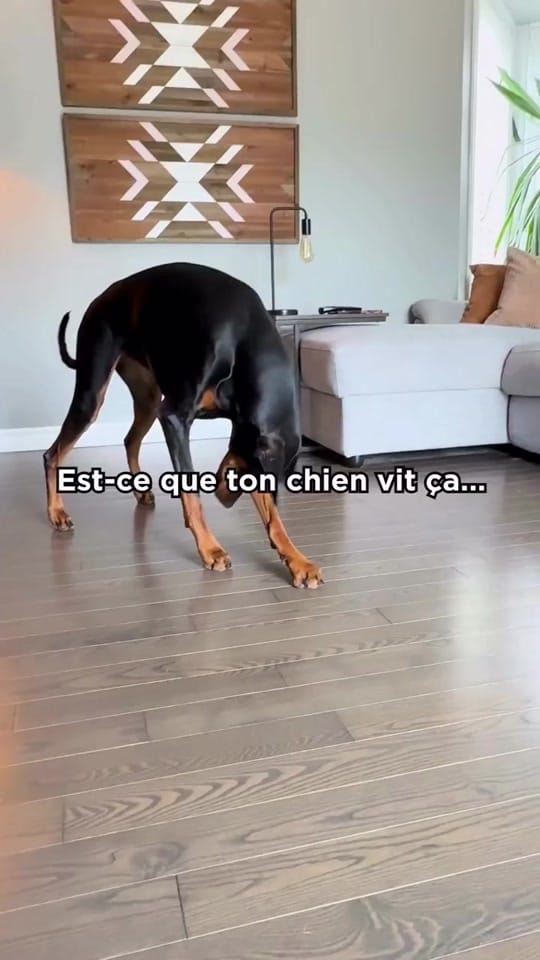 Post 1 by Nutrience on TikTok (video)