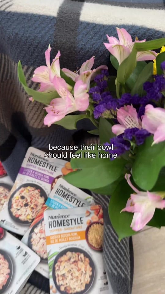 Post 8 by Nutrience on TikTok (video)