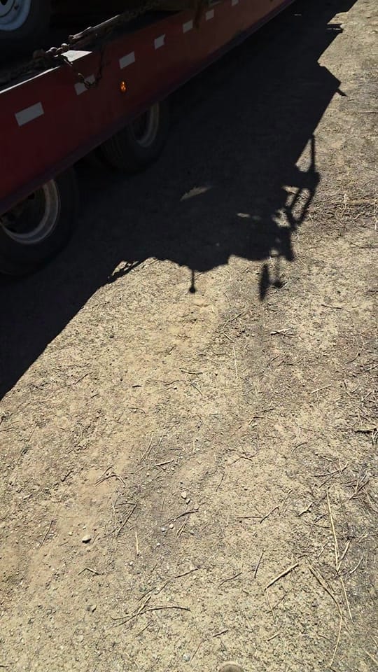 Post 5 by Nikolai Purdy on TikTok (video)