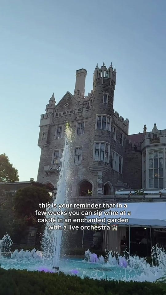 Post 1 by Esther Vallins 💜 on TikTok (video)