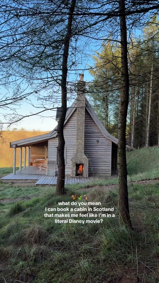 Post 5 by Mount Freedom Cabins on TikTok (video)