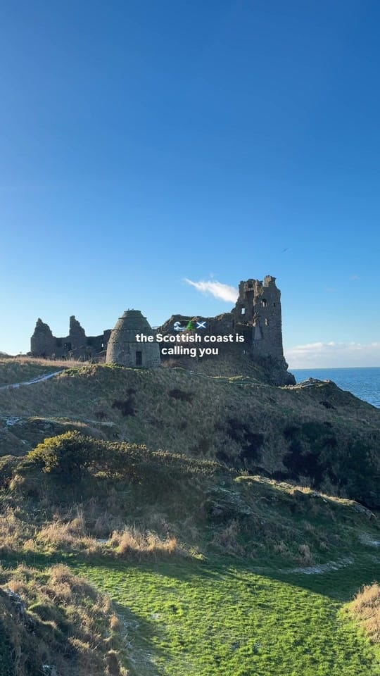 Post 6 by Mount Freedom Cabins on TikTok (video)