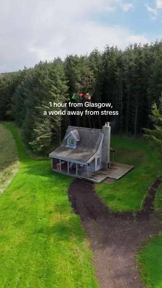 Post 8 by Mount Freedom Cabins on TikTok (video)
