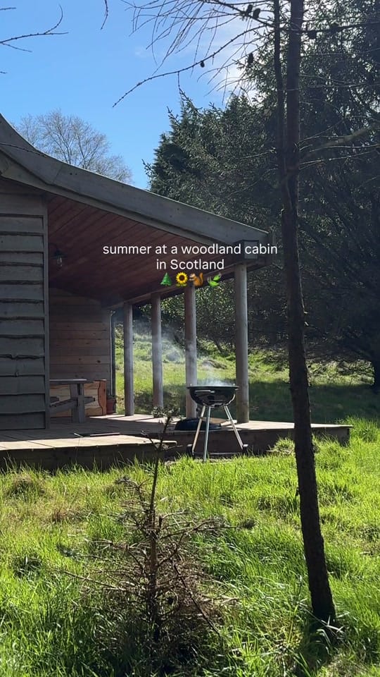 Post 7 by Mount Freedom Cabins on TikTok (video)
