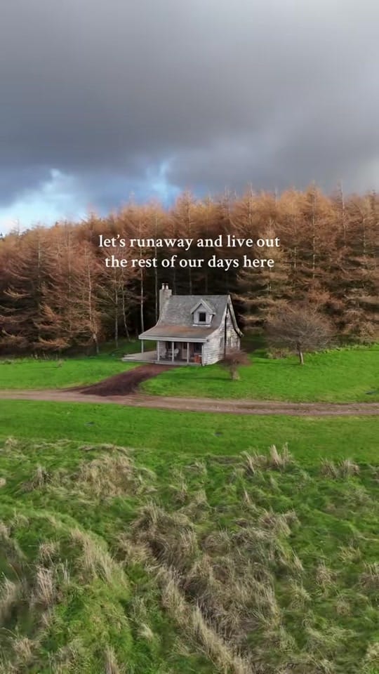 Post 4 by Mount Freedom Cabins on TikTok (video)