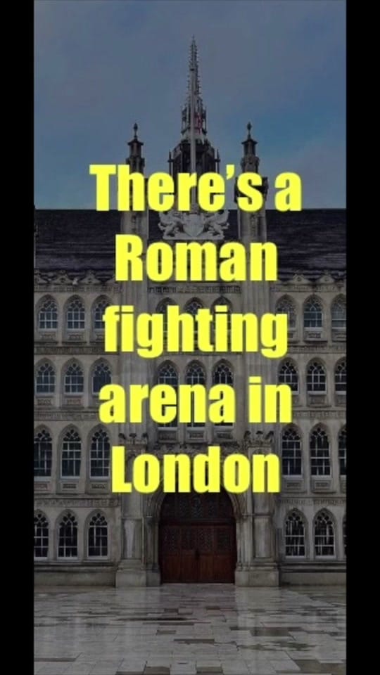 Post 3 by The Fox in London on TikTok (video)