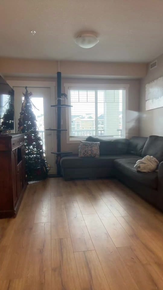 Post 3 by GoGoDessaYEG🇨🇦 on TikTok (video)