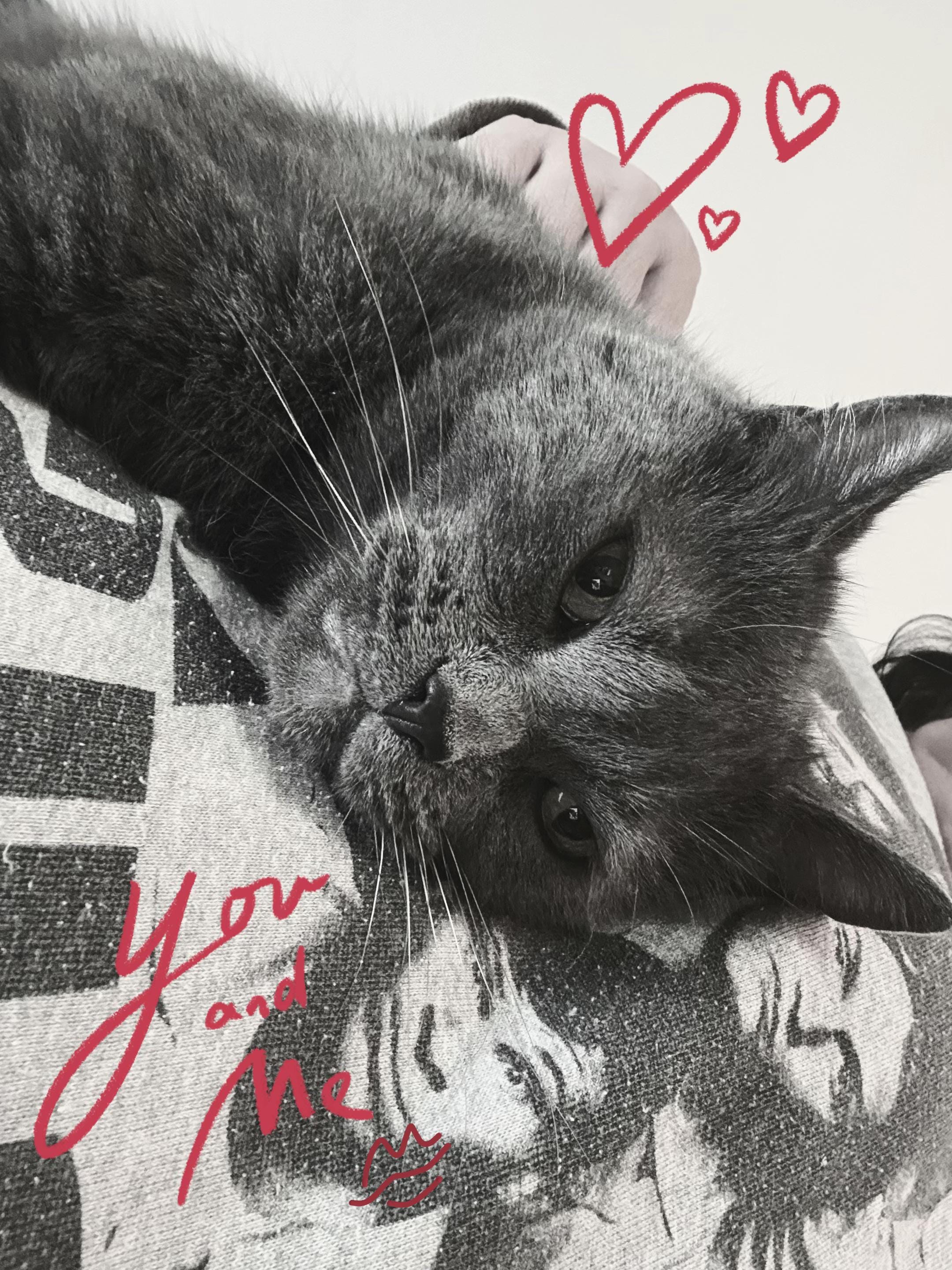 Post 6 by GoGoDessaYEG🇨🇦 on TikTok (video)