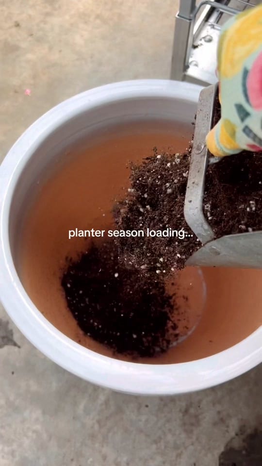Post 1 by vwshomeandgarden on TikTok (video)
