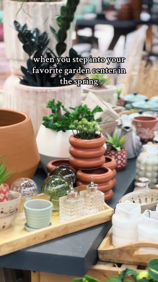 Post 4 by vwshomeandgarden on TikTok (video)