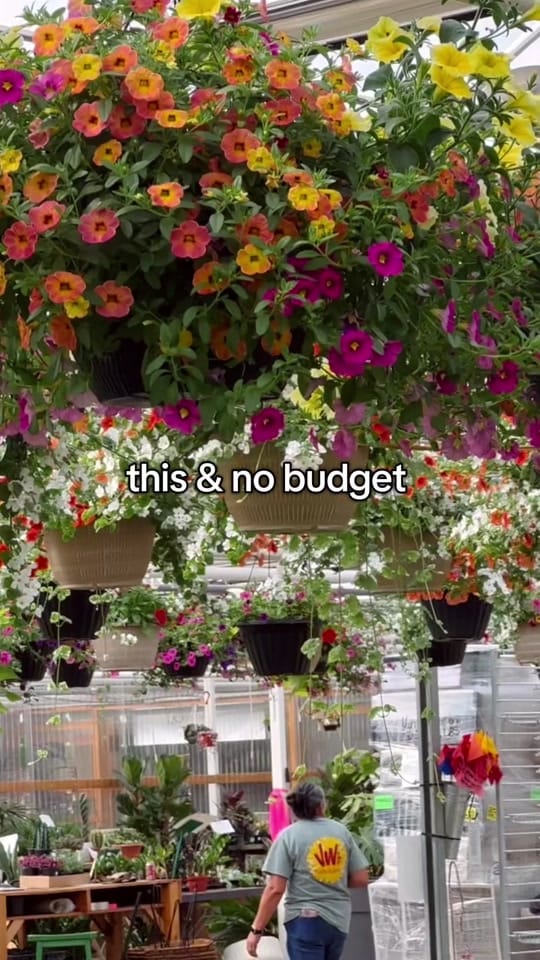 Post 3 by vwshomeandgarden on TikTok (video)