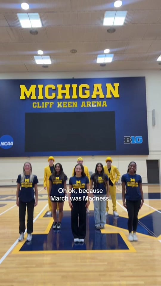Post 4 by umichdance on TikTok (video)