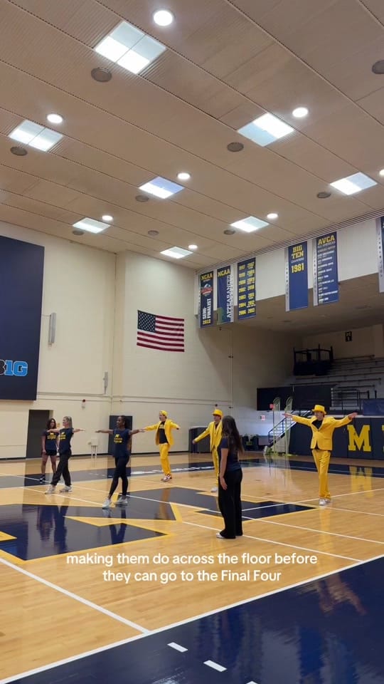 Post 5 by umichdance on TikTok (video)