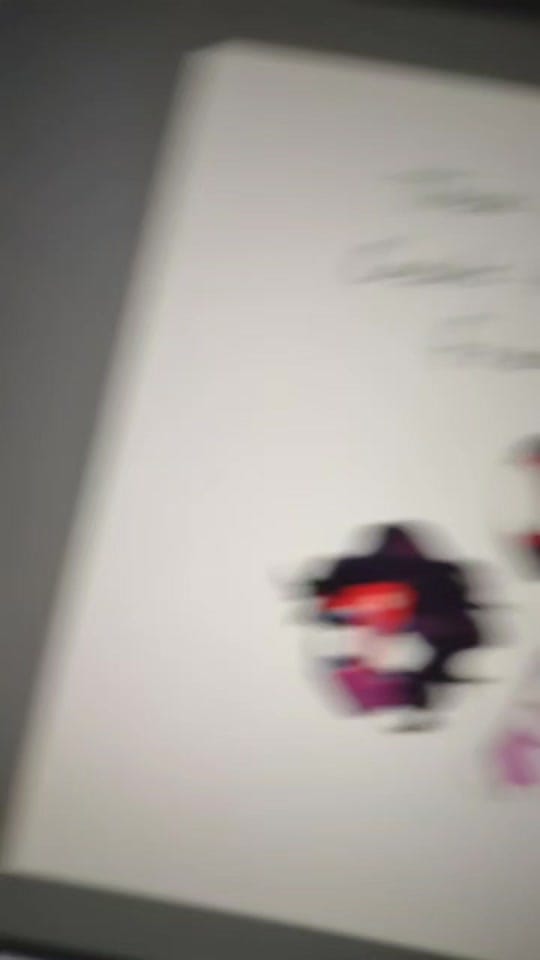 Post 8 by Lou Ro on TikTok (video)
