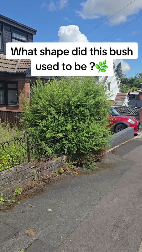 Post 1 by Hydroforce Exterior Cleaning on TikTok (video)