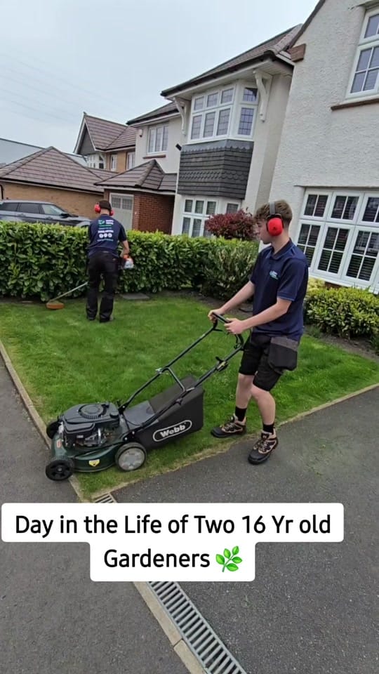 Post 10 by Hydroforce Exterior Cleaning on TikTok (video)