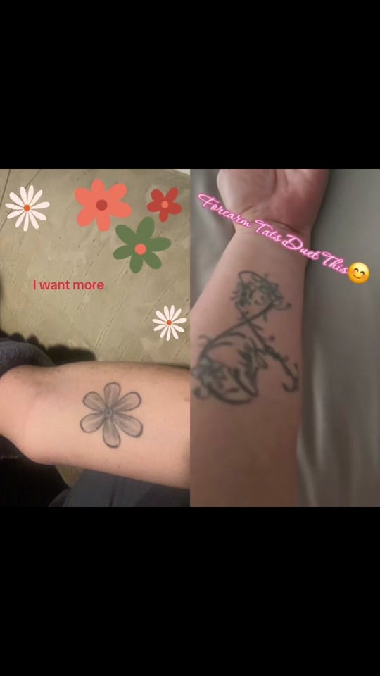 Post 4 by Laura J 🇨🇦 on TikTok (video)