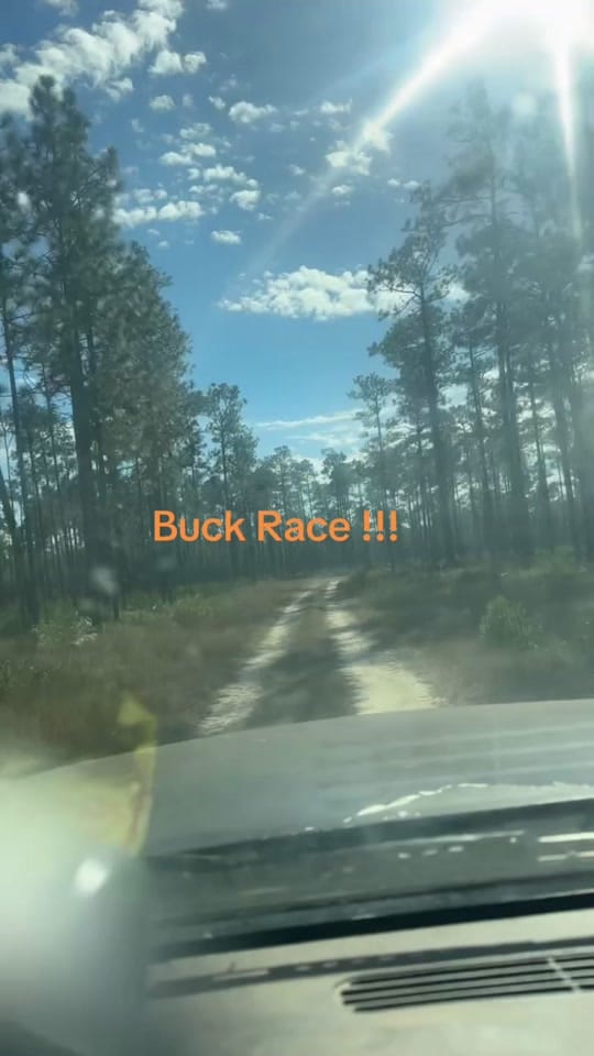Post 6 by C. Gray on TikTok (video)