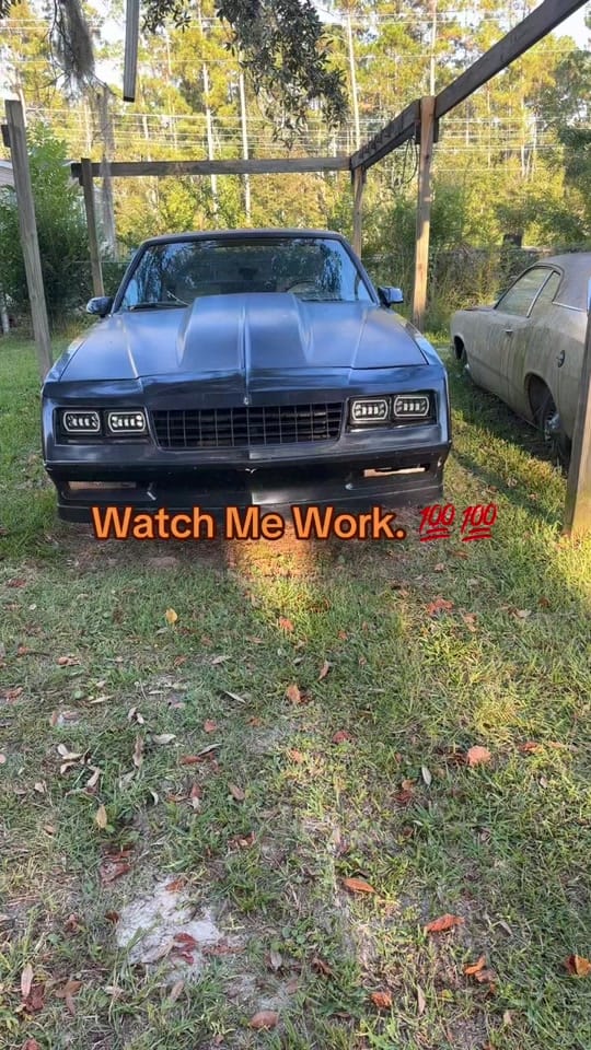 Post 10 by C. Gray on TikTok (video)