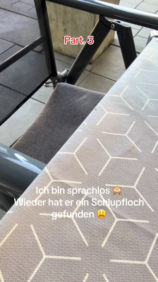 Post 10 by JanWolle13 on TikTok (video)