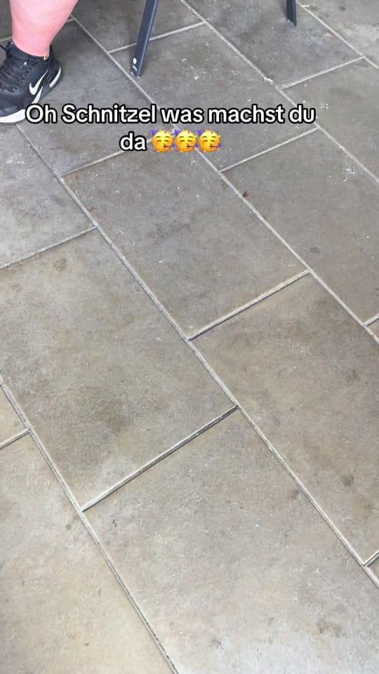 Post 6 by JanWolle13 on TikTok (video)