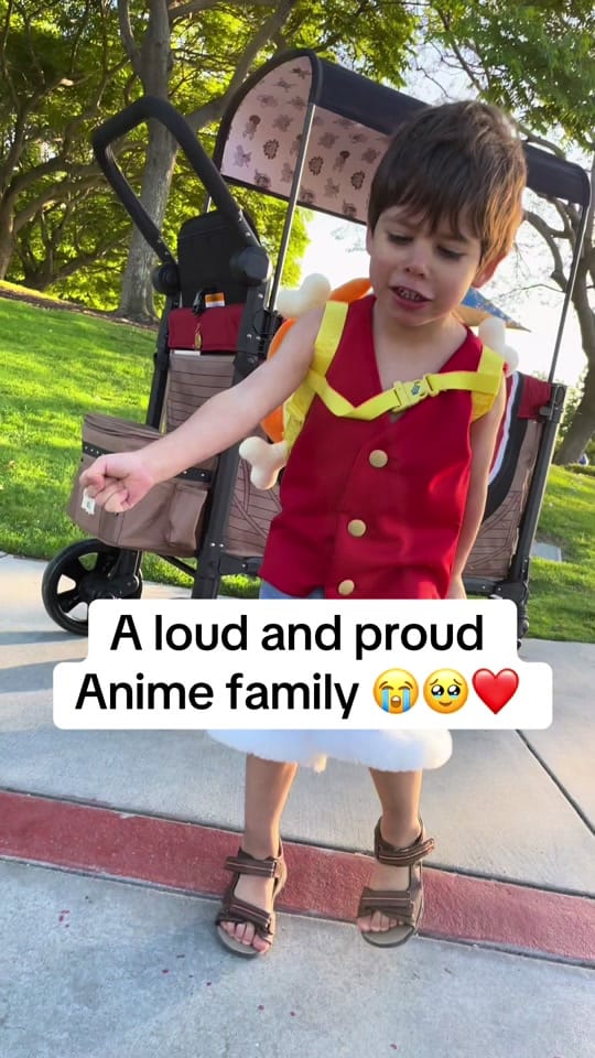 Post 3 by daydreamernessa on TikTok (video)