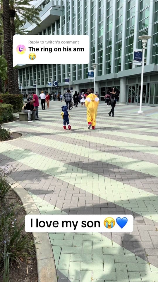 Post 1 by daydreamernessa on TikTok (video)