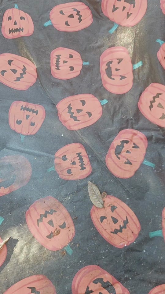 Post 1 by Melissa Stencils on TikTok (video)