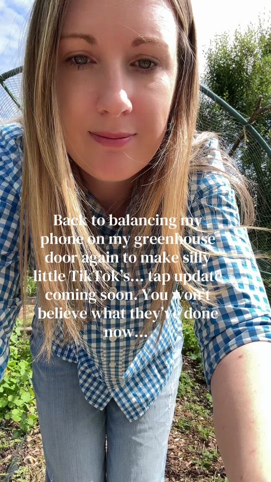 Post 3 by Emma Bailey on TikTok (video)