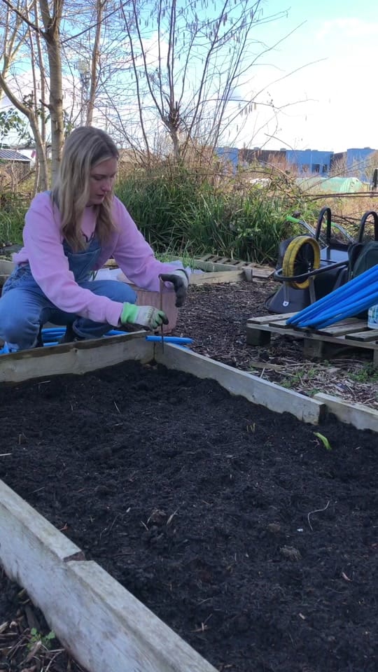 Post 9 by Emma Bailey on TikTok (video)