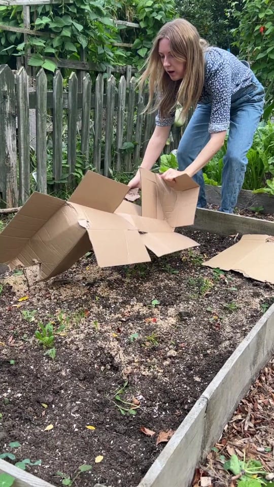 Post 8 by Emma Bailey on TikTok (video)