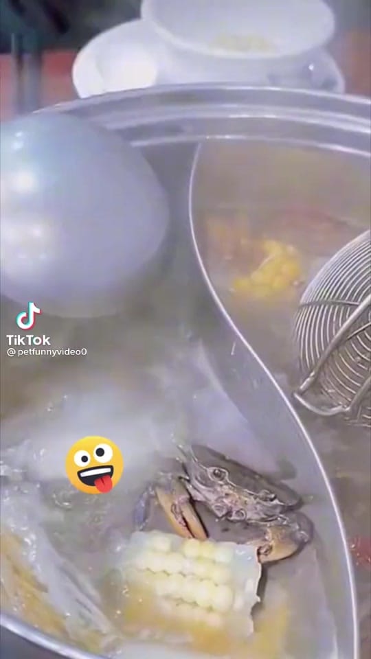 Post 1 by Dr_Great on TikTok (video)